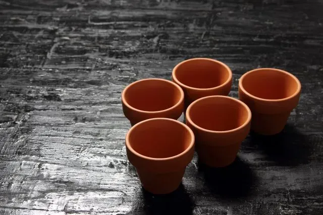 Zastosowanie doniczek ceramicznych