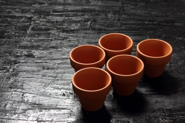 Zastosowanie doniczek ceramicznych