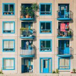 rośliny całoroczne na balkon