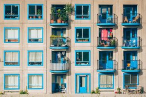rośliny całoroczne na balkon